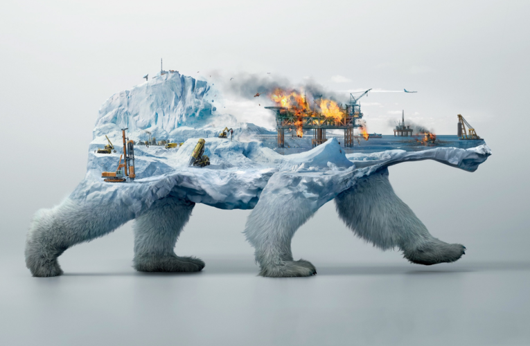 Требуется стратегия развития Арктики